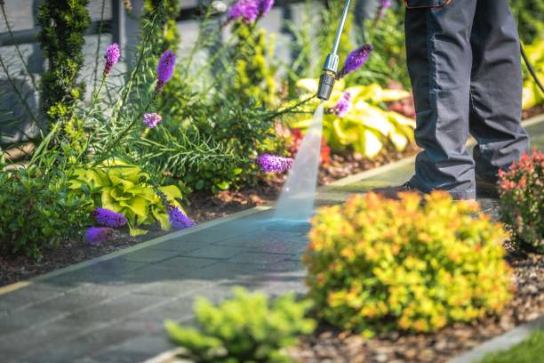 Best Restaurant Pressure Washing  in Lake Don Pedro, CA